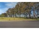 20 The Garden Walk, Worrigee NSW 2540