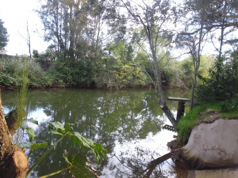 74 Bolong Road, Bomaderry NSW 2541