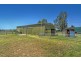 55 Worrigee Road, Worrigee NSW 2540