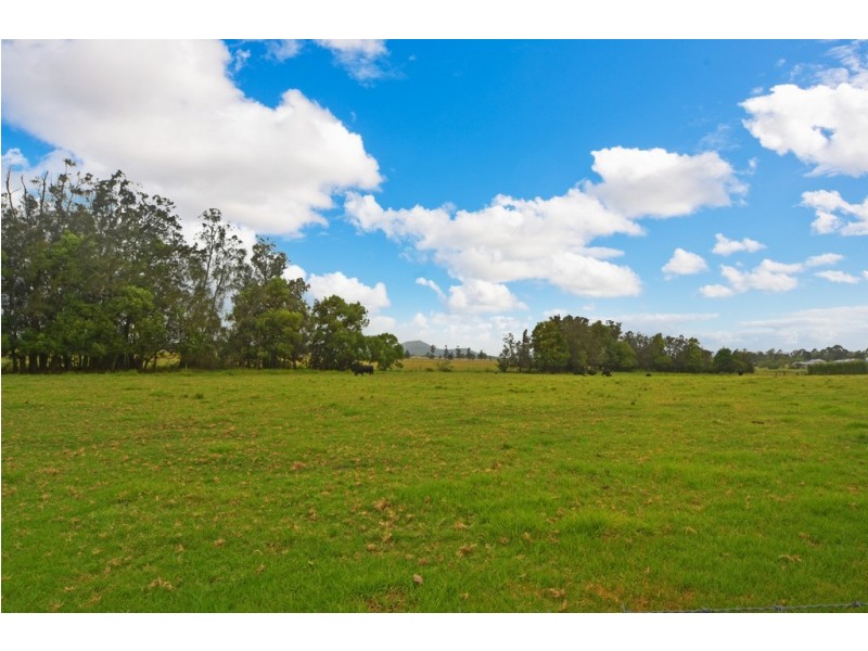 14 Appleberry Close, Bomaderry NSW 2541