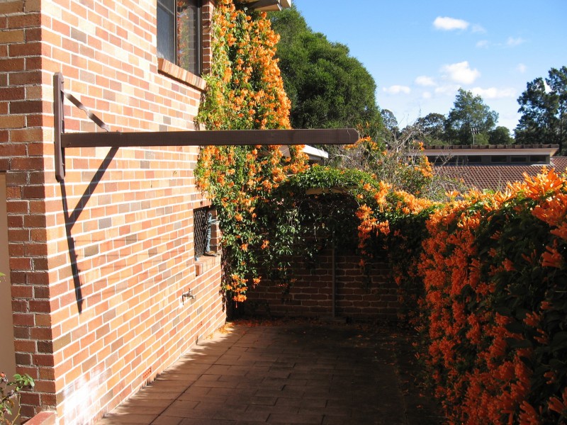 2/123 Wallace Street, Nowra NSW 2541