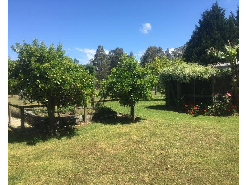 139 Worrigee Road, Worrigee NSW 2540