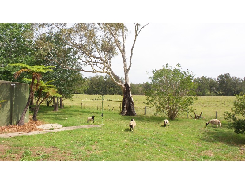 125 Mossvale Road, Cambewarra NSW 2540