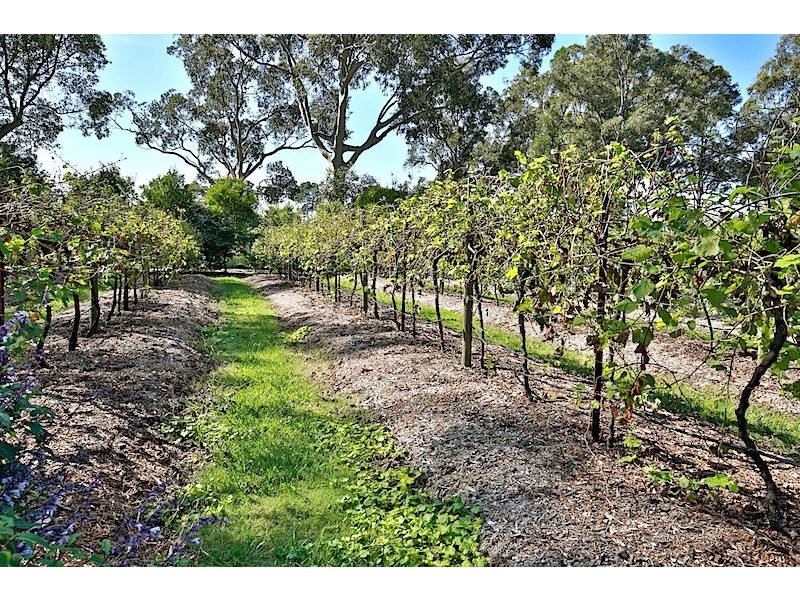 300 Greenwell Point Road, Worrigee NSW 2540