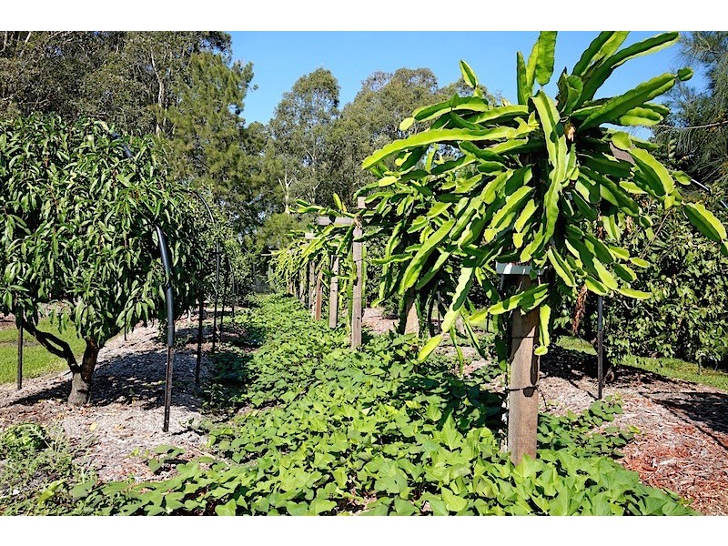 300 Greenwell Point Road, Worrigee NSW 2540