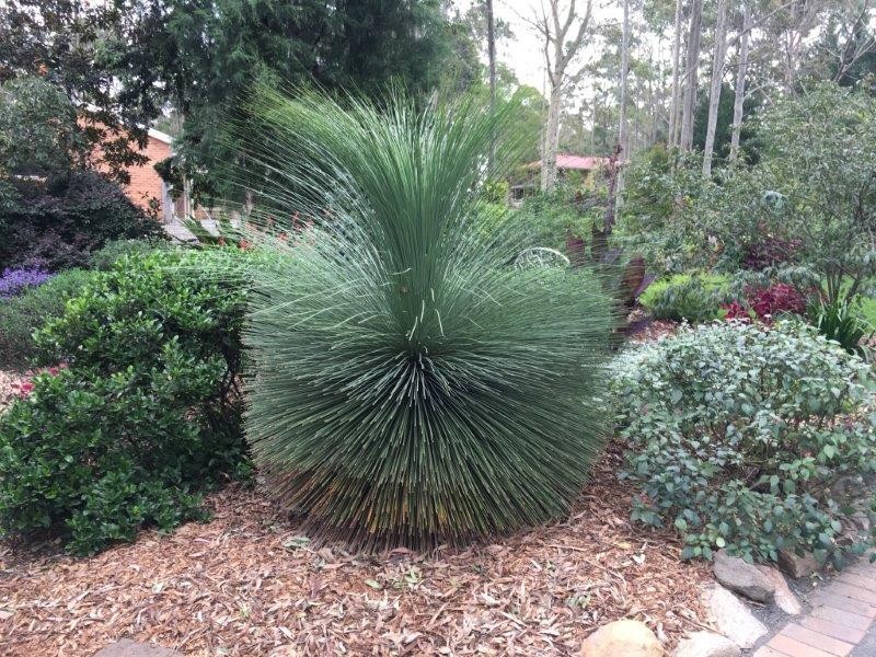 8 Coombah Close, Tapitallee NSW 2540