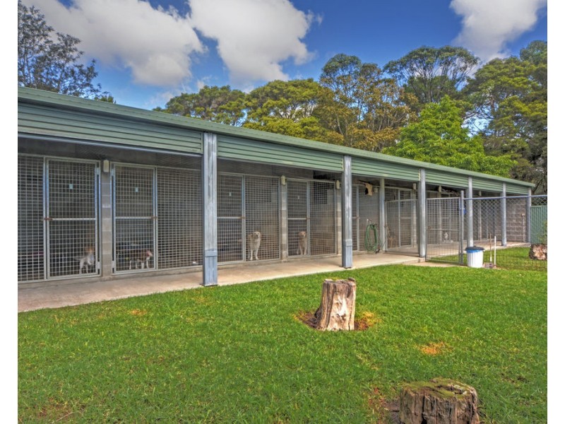 31 Calymea Street, Nowra Hill NSW 2540