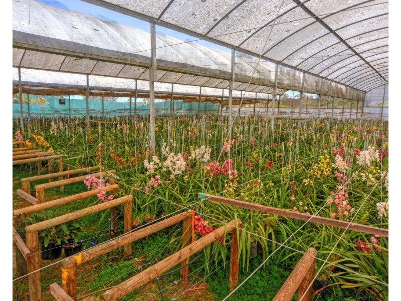 385 Parma Road, Parma NSW 2540