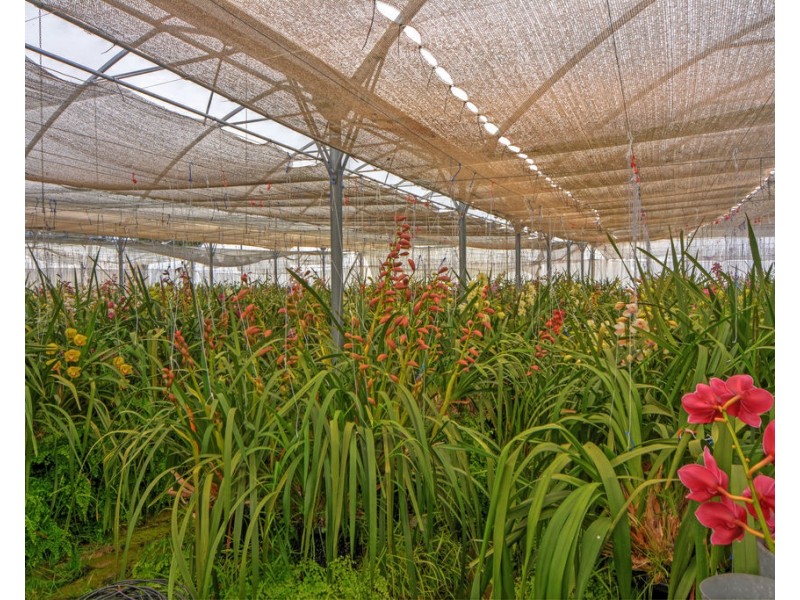 385 Parma Road, Parma NSW 2540