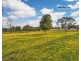 56 Lyrebird Drive, Nowra NSW 2541