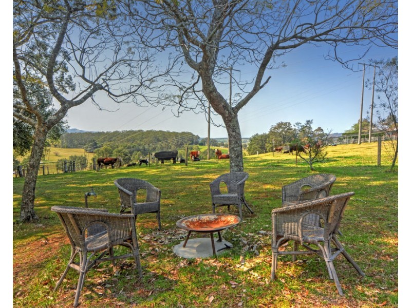 126 Croziers Road, Jaspers Brush NSW 2535
