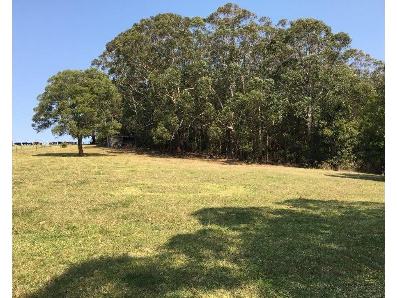 126 Croziers Road, Jaspers Brush NSW 2535