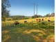 126 Croziers Road, Jaspers Brush NSW 2535