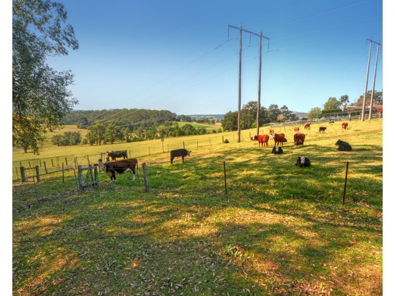 126 Croziers Road, Jaspers Brush NSW 2535