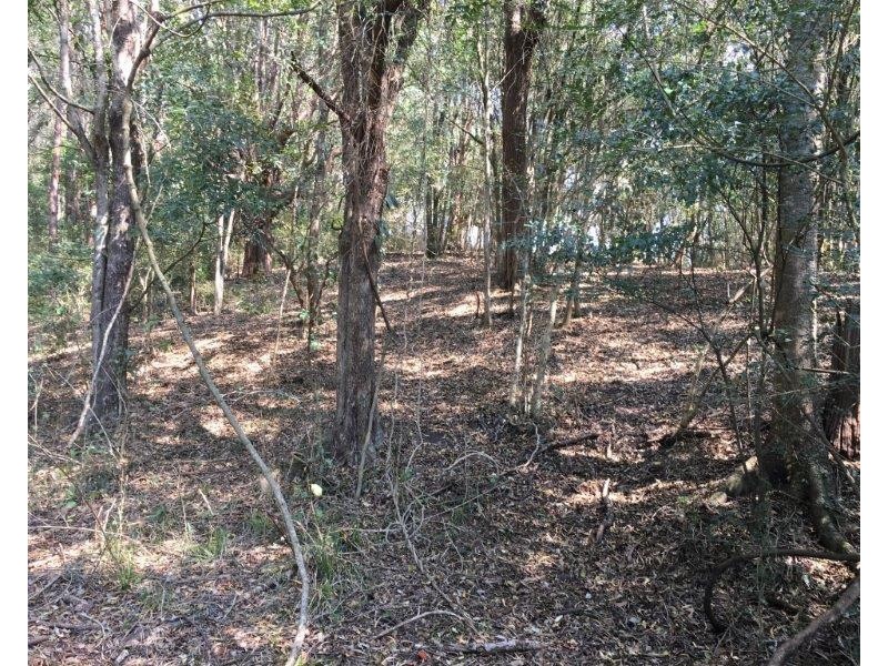 126 Croziers Road, Jaspers Brush NSW 2535