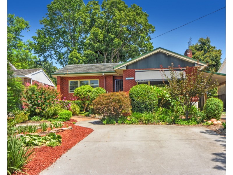 17 Colyer Avenue, Nowra NSW 2541