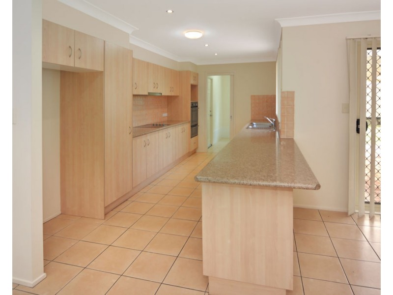 4 Spotted Quoll, North Nowra NSW 2541