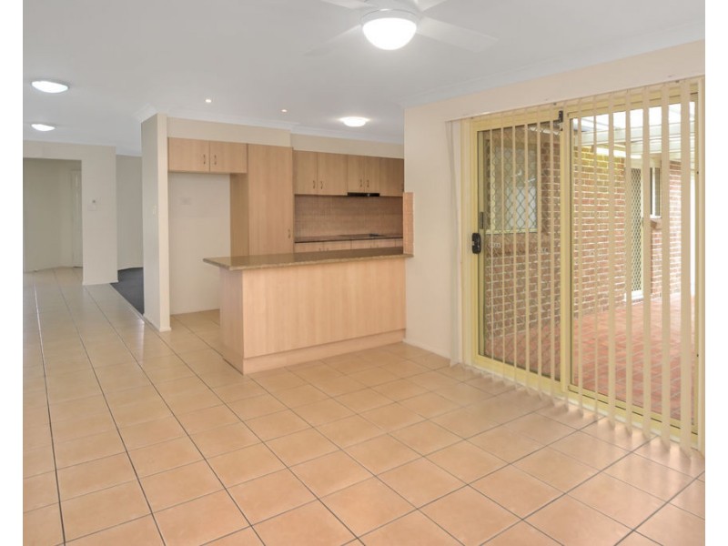 4 Spotted Quoll, North Nowra NSW 2541