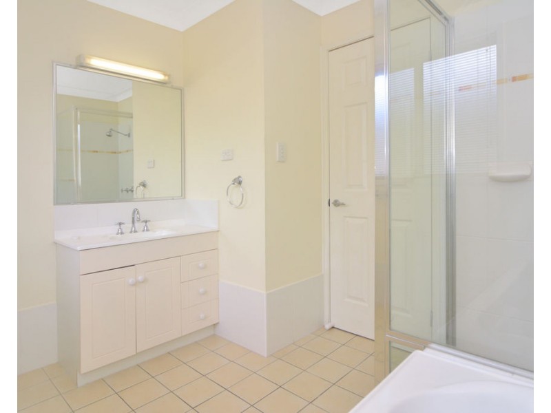 4 Spotted Quoll, North Nowra NSW 2541