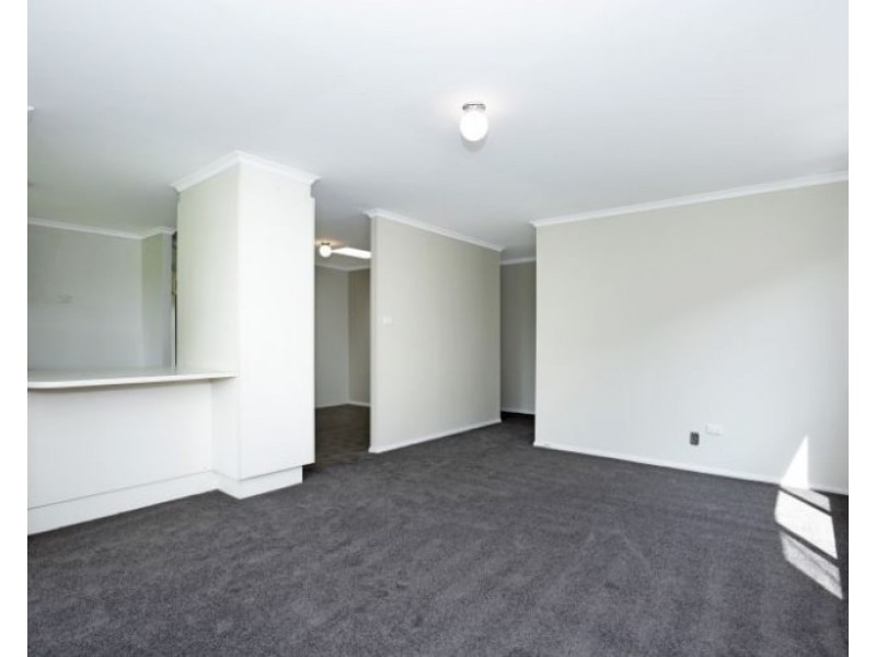 8 Elderberry Avenue, Worrigee NSW 2540