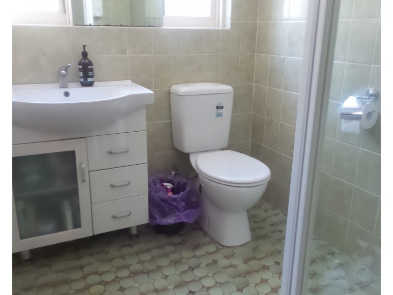 119 Kinghorne Street, Nowra NSW 2541