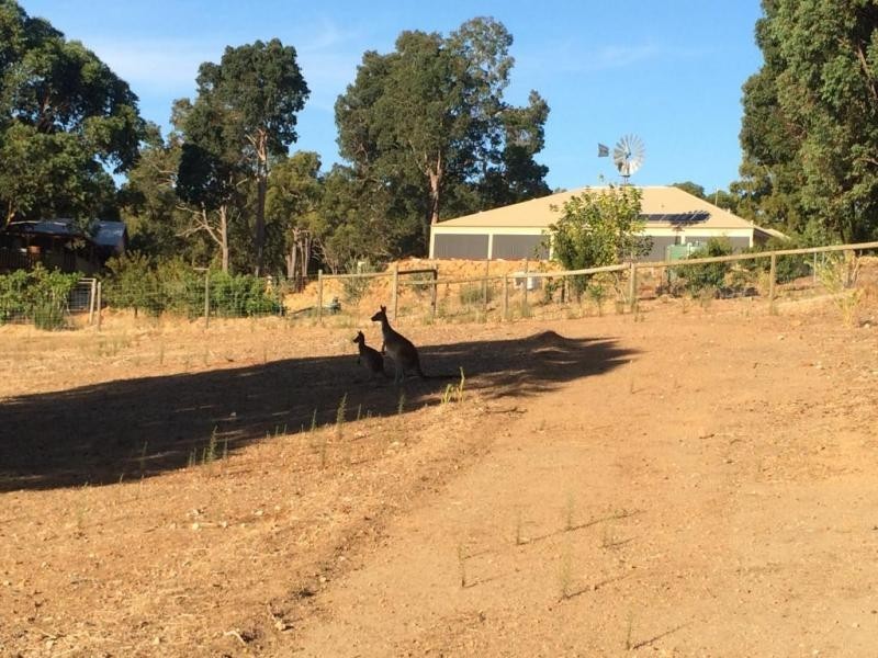 17 Wilcockson Close, Bedfordale WA 6112