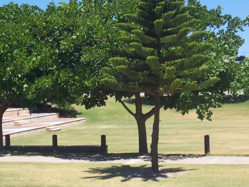 39 Maroubra Parade Secret Harbour, Secret Harbour WA 6173