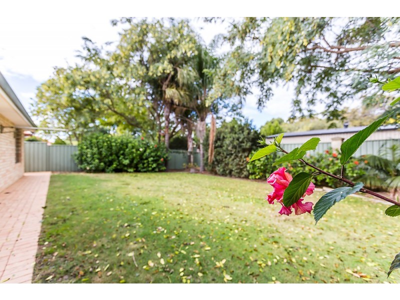33 Coco Drive, Falcon WA 6210