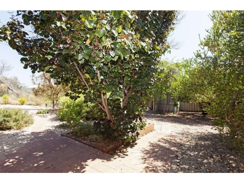 75 Murdoch Drive, Singleton WA 6175