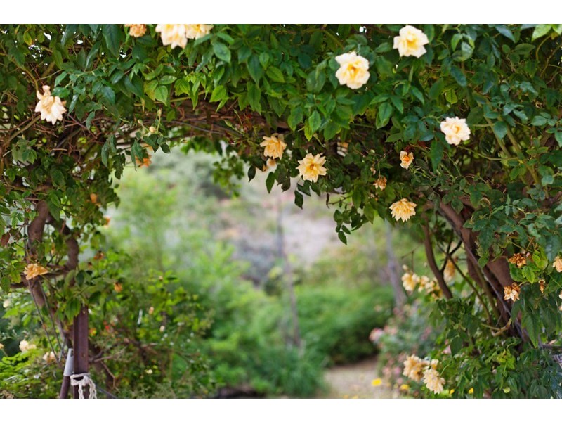 40 Minderoo Crescent, Golden Bay WA 6174