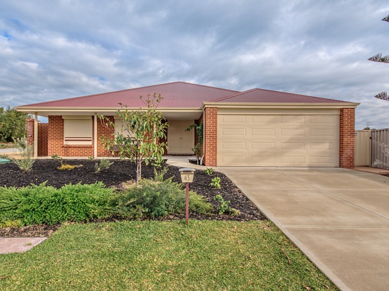 43 Murdoch Drive, Singleton WA 6175
