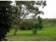 Williamtown NSW 2318
