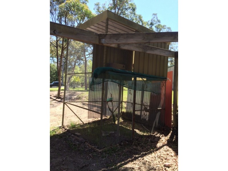 53 Ryan Road, Medowie NSW 2318