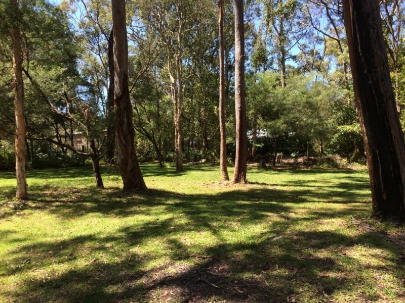 53 Ryan Road, Medowie NSW 2318