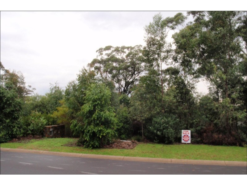 Medowie NSW 2318