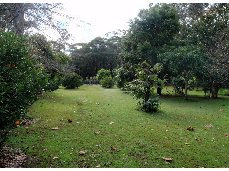 91 James Rd, Medowie NSW 2318