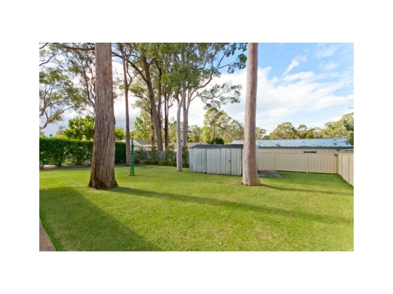 18 Coachwood Drive, Medowie NSW 2318