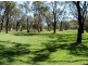 Salt Ash NSW 2318