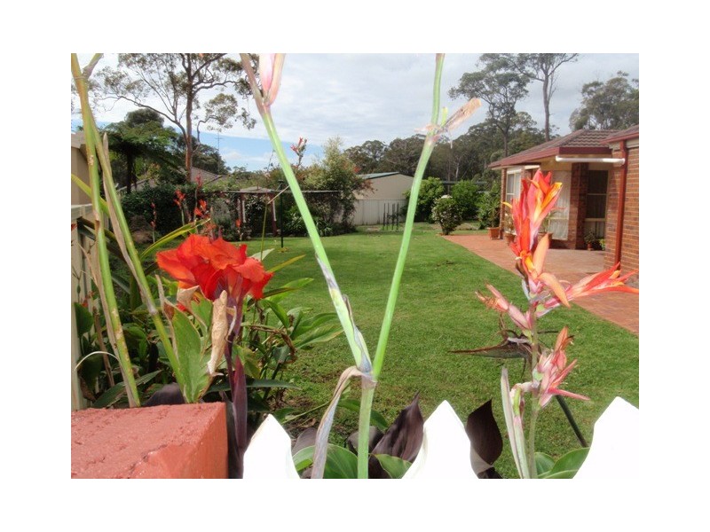 7 Ingra Close, Medowie NSW 2318