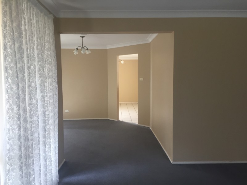 100 Kindlebark Drive, Medowie NSW 2318