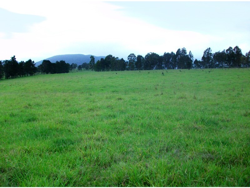 Clarence Town NSW 2321