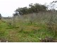 Medowie NSW 2318