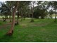7 Rookes Rd, Salt Ash NSW 2318