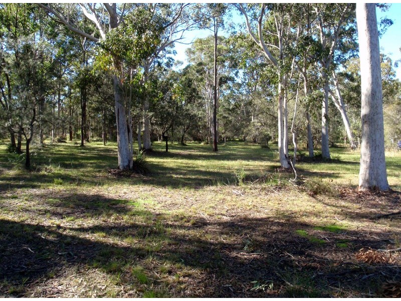 Medowie NSW 2318