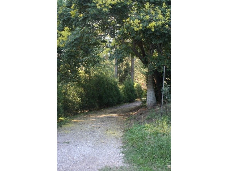 67A Abundance Road, Medowie NSW 2318