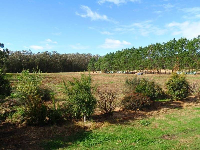 67A Abundance Rd, Medowie NSW 2318