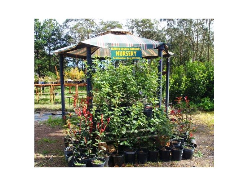 67A Abundance Rd, Medowie NSW 2318