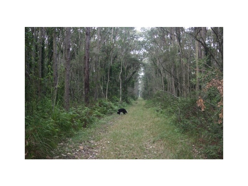 67A Abundance Rd, Medowie NSW 2318