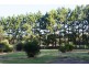 67A Abundance Rd, Medowie NSW 2318