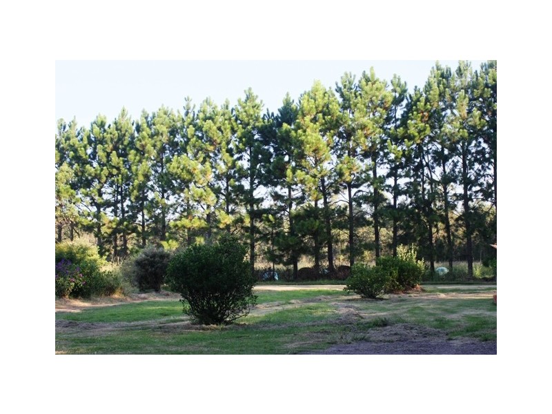 67A Abundance Rd, Medowie NSW 2318